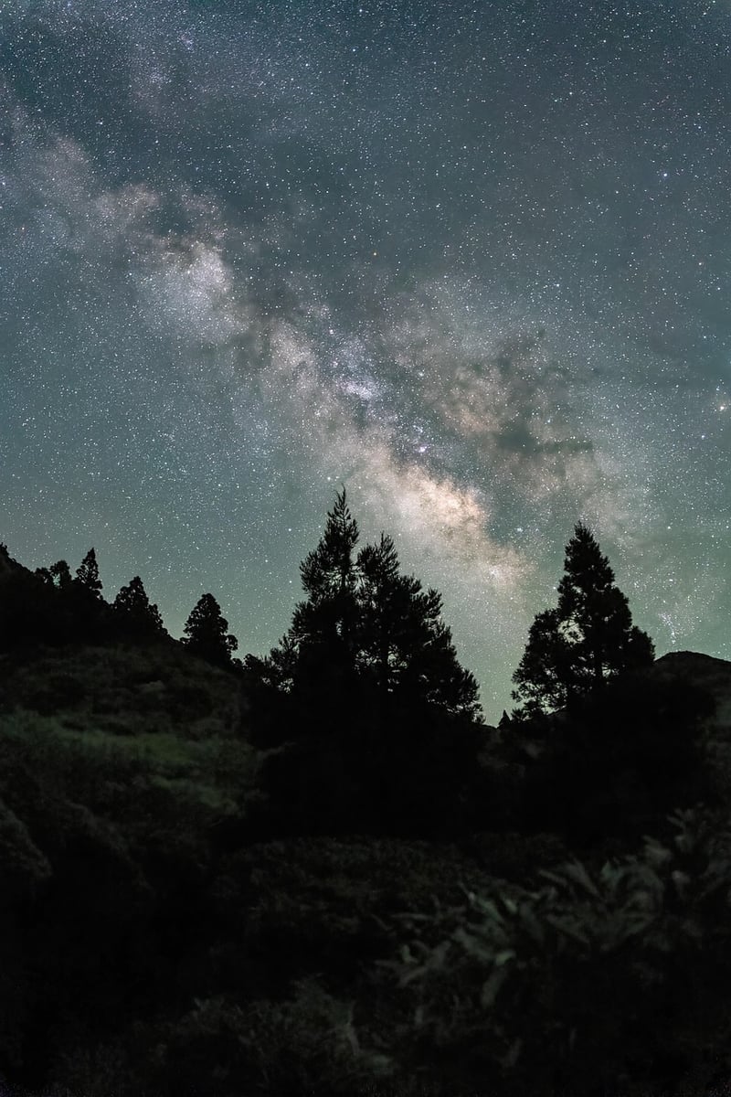 Romantic Night Sky